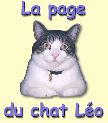 les shadoks sont sur ce site!